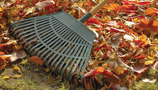 Garden Hand Tools (58)